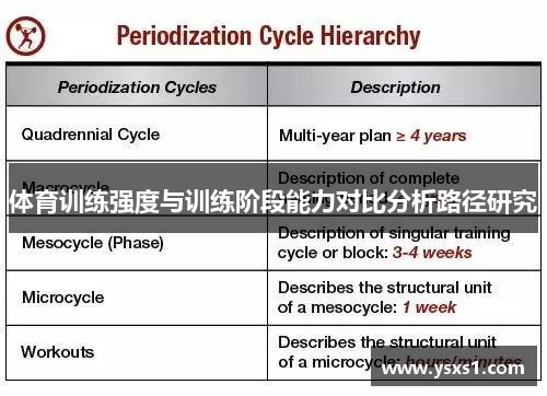 体育训练强度与训练阶段能力对比分析路径研究